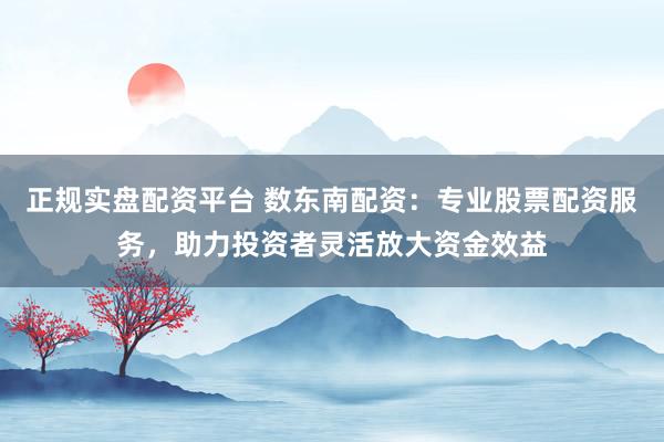 正规实盘配资平台 数东南配资：专业股票配资服务，助力投资者灵活放大资金效益