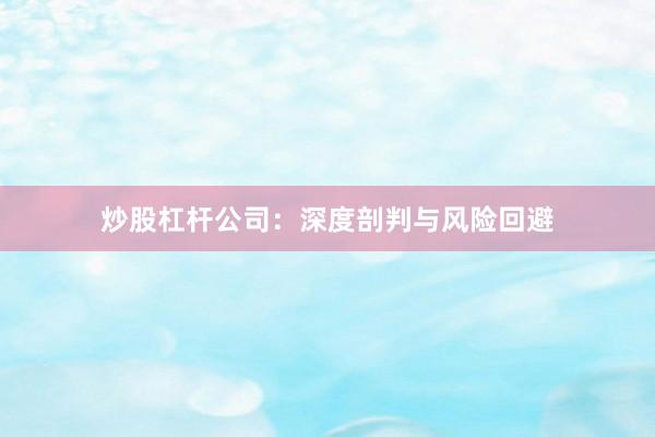 炒股杠杆公司：深度剖判与风险回避