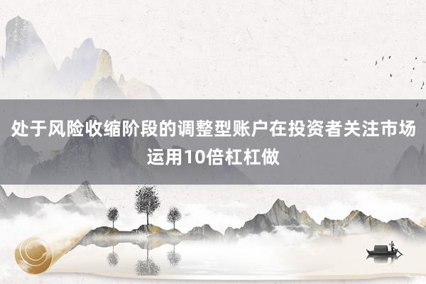 处于风险收缩阶段的调整型账户在投资者关注市场运用10倍杠杠做