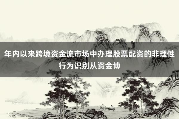 年内以来跨境资金流市场中办理股票配资的非理性行为识别从资金博